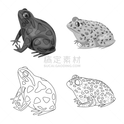 野生动物,藓沼,标志,人类腺体,红色,粉色,绿色,褐色,条纹,收集