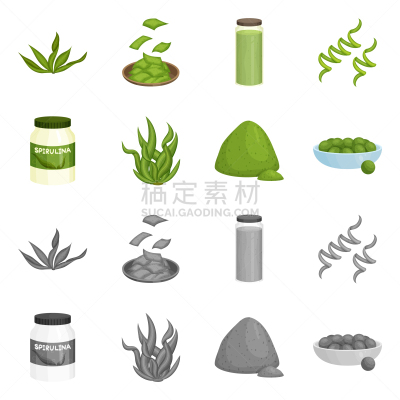 海洋,图标集,蛋白质,蔬菜,素食,健康保健,螺线,清新,营养品,设计