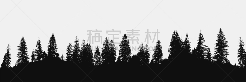 背景幕,森林,黄昏,公园,云杉,杉树,格林伍得,户外,剪影,写实
