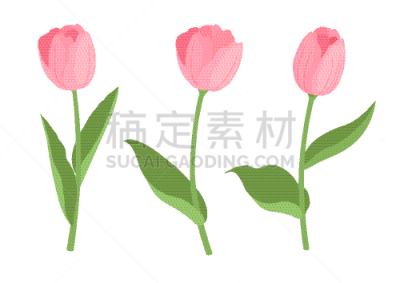 郁金香,符号,可爱的,卡通,时尚,菜园,清新,肖像,植物,夏天