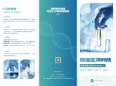 模板缩略图