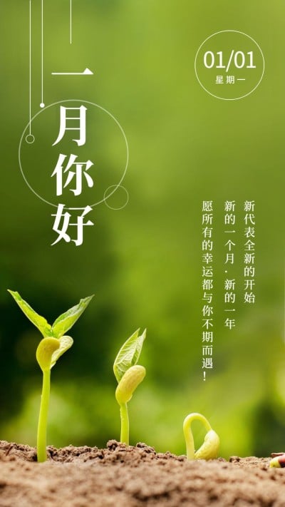通用1月你好祝福实景手机海报