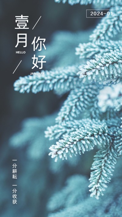 通用1月你好祝福文艺手机海报