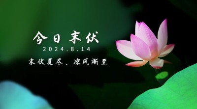 末伏三伏天祝福实景莲花横版海报