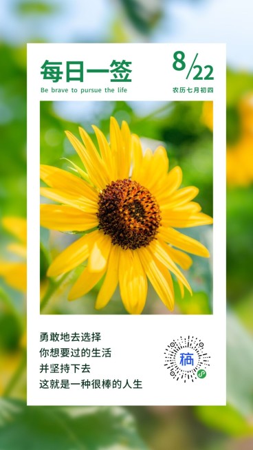 日签问候每日一签清新小程序码预览效果