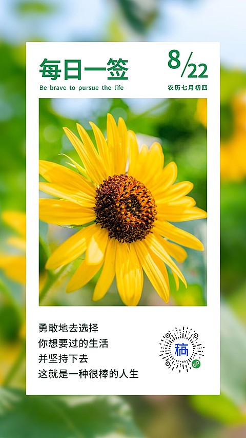 日签问候每日一签清新小程序码