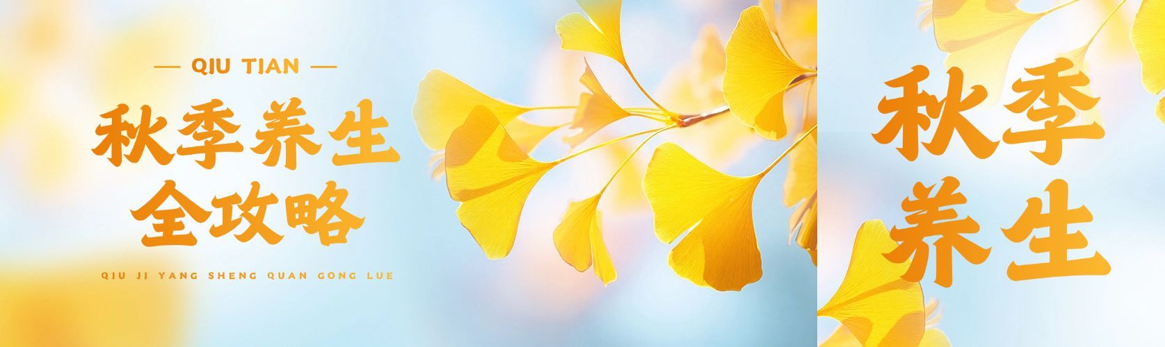 秋季养生宣传推广公众号双封面预览效果