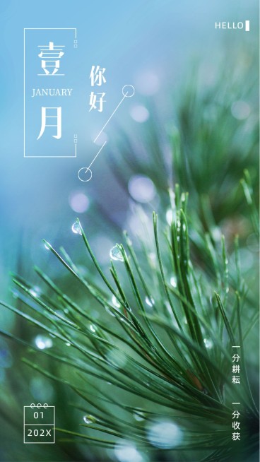 通用1月你好祝福实景手机海报预览效果