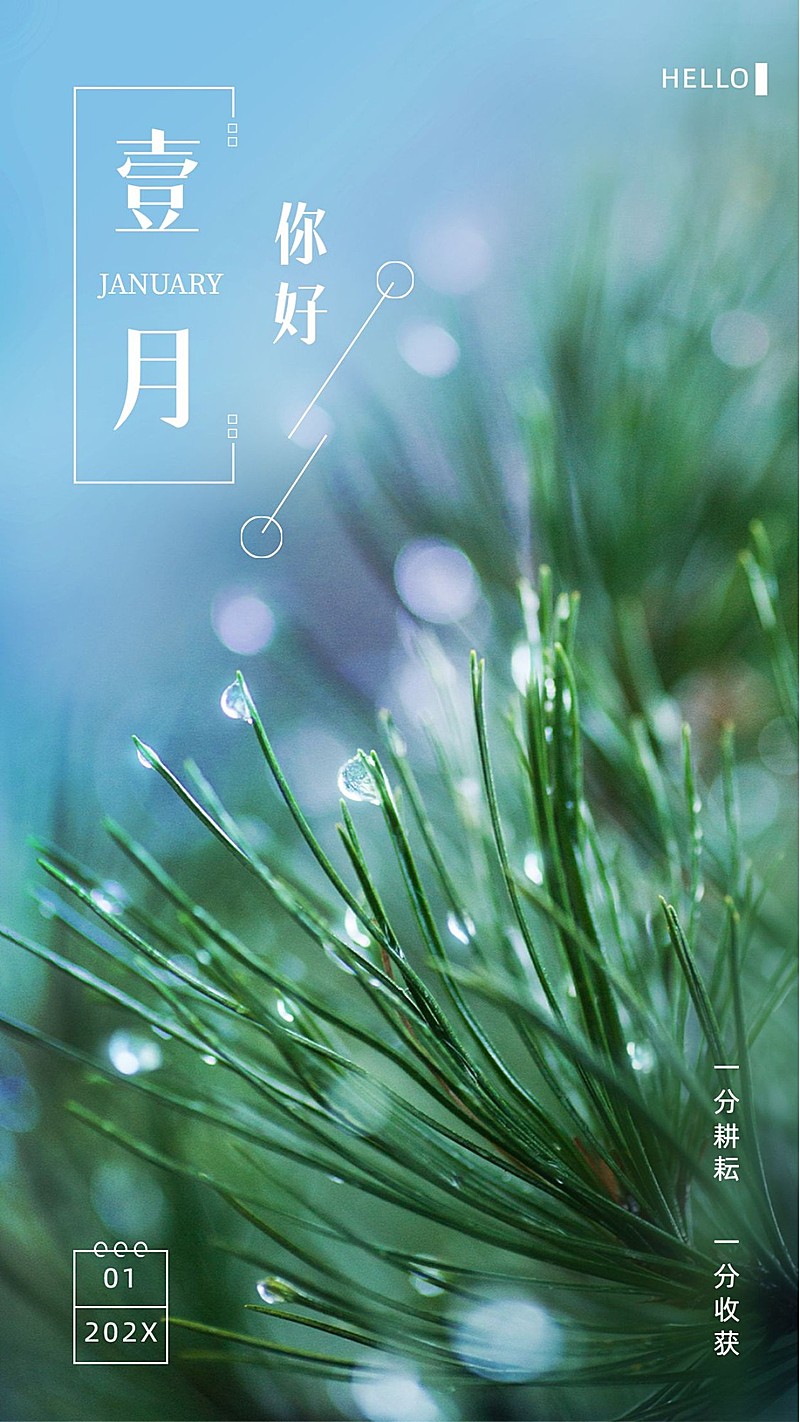 通用1月你好祝福实景手机海报