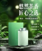 模板缩略图