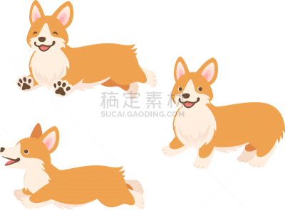 狗,全身像,绘画插图,威尔士柯基犬,三只动物,注视镜头,侧面,背景分离,彭布罗克郡,肖像