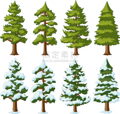 形状,松树,反差,白色,绿色,褐色,木制,天气,自然,图像