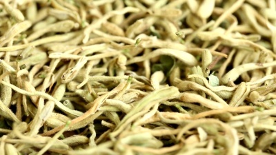 金银花茶。