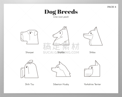 狗,宠物,纯种犬,西伯利亚,牧羊犬,喜乐蒂牧羊犬,美,沙皮狗