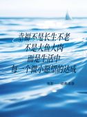 模板缩略图
