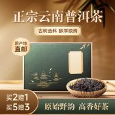 模板缩略图