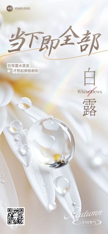 白露节气祝福清新感全屏竖版海报AIGC预览效果