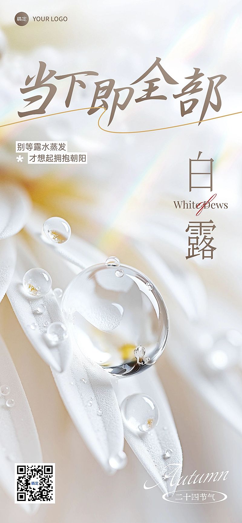 白露节气祝福清新感全屏竖版海报AIGC