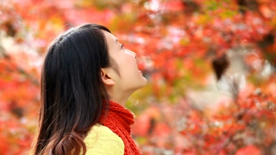 秋天树林里的小姑娘