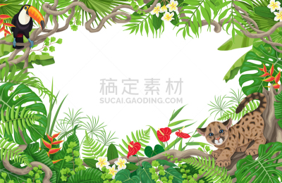 巨嘴鸟,鸡尾酒,美洲狮,幼兽,边框,复叶,彪马,小的,装饰物,鸟类