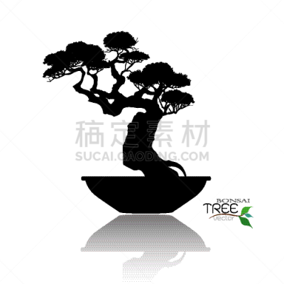 盆景,传统,景观设计,小的,自然美,阴影,植物,杜鹃花,洋葱花,剪影