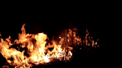 森林在夜晚失控燃烧。在农村草地上燃烧的火焰