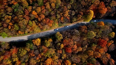 阳光明媚的秋季森林中乡村公路的鸟瞰