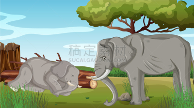 公园,象,两只动物,活力,可爱的,野生动物,环境,哺乳纲,动物,生病