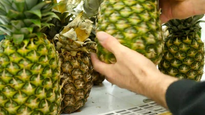 男性在超市挑选菠萝。一名男子在一家杂货店的柜台上拿菠萝。在商店的生产部挑选新鲜水果的家伙。买家选择食物。特写