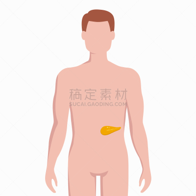 健康保健,男人,胰腺,扁平化设计,生物学,分离着色,信息图表,人,剪影