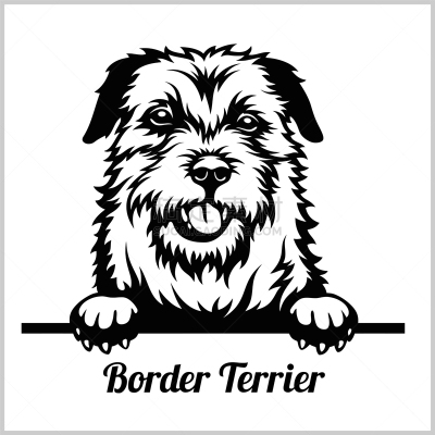 纯种犬,狗,博德猎狐犬,动物头,似人脸,可爱的,梗犬,家庭,肖像,窥视