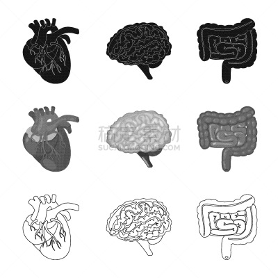 生物学,科学,标志,健康保健,植物群,主动脉,空肠,冠状动脉,脑回,思考