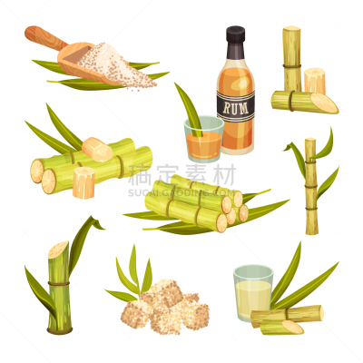 sugar cane unbranched stems with leaves and