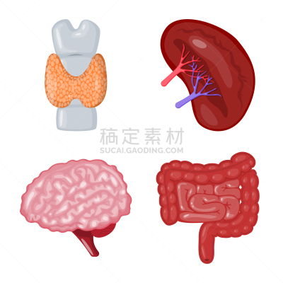 生理学,品牌名称,生物学,健康保健,整形器具,植物群,空肠,脑回,思考