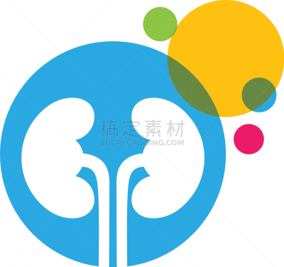 肾脏,生物学,健康保健,部分,家庭,门诊部,模板,品牌名称