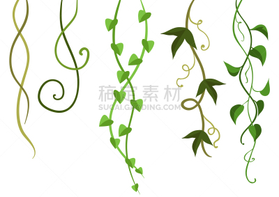 枝,野生植物,藤蔓植物,环境,野生动物,植物群,公园,植物,缠绕,布置