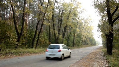 森林道路上的汽车交通。