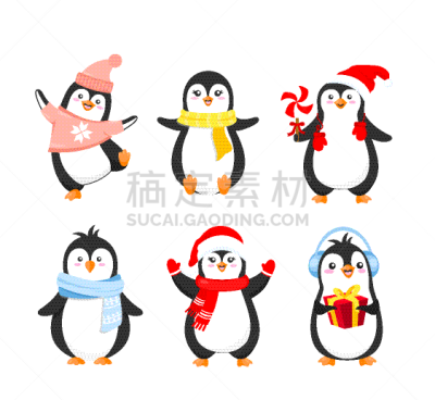 幽默,毛衣,可爱的,雪,动物,鸟类,布置,问候,爱