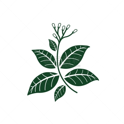 简单,黑色,数码图形,彩色图片,烟草,干净,绿色,农业,尼古丁,模板