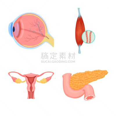 人,标志,生物学,健康保健,食品,人类骨架,品牌名称,人类的生殖器官,眼球
