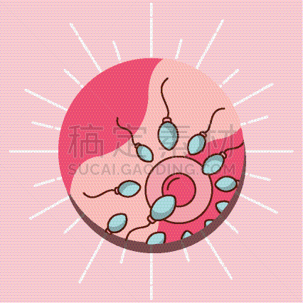 家庭,卵子,中年人,婴儿,图像,矢量,精子,研究