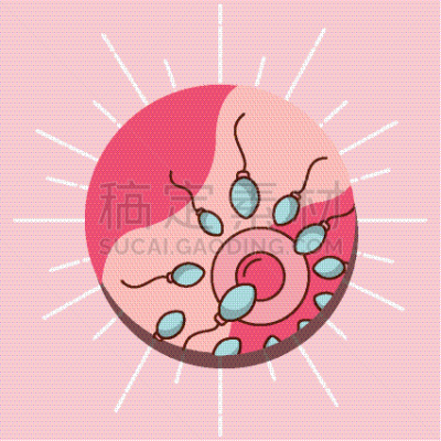 家庭,卵子,中年人,婴儿,图像,矢量,精子,研究