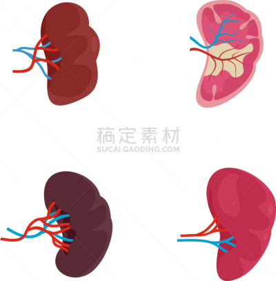 分离着色,米特海鲜,生理学,计算机图标,脾脏,生物学,健康保健,抗体,淋巴系统,布置