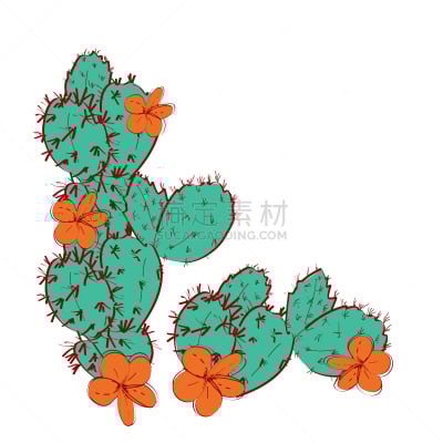 仙人掌,草图,白色背景,矢量,装饰品,油漆罐,模板,古老的,褐色,花