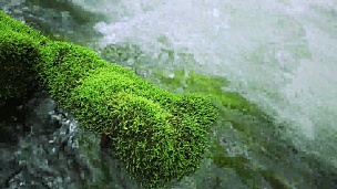 绿溪。