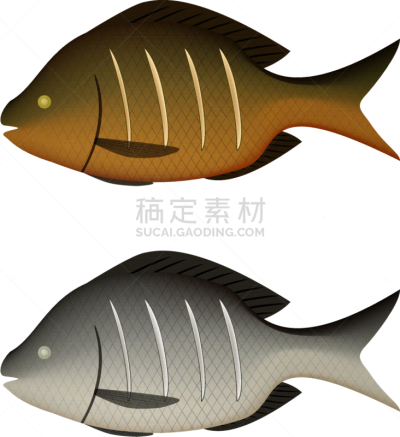 白色,煮食,三维图形,鱼肉,分离着色,亚洲,自然,精神振作,红色,油炸
