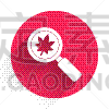 white magnifying glass with leaf icon isolated