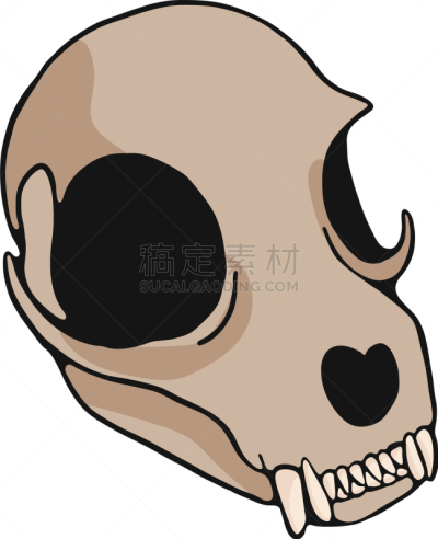 符号,猫,头骨,卡通,分离着色,自然,眼窝,图像,人类骨架