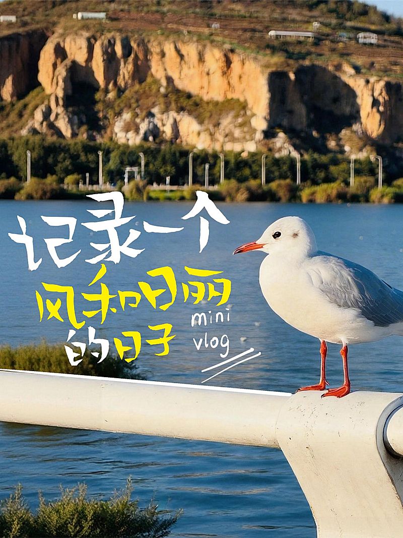 涂鸦手写体文字plog封面