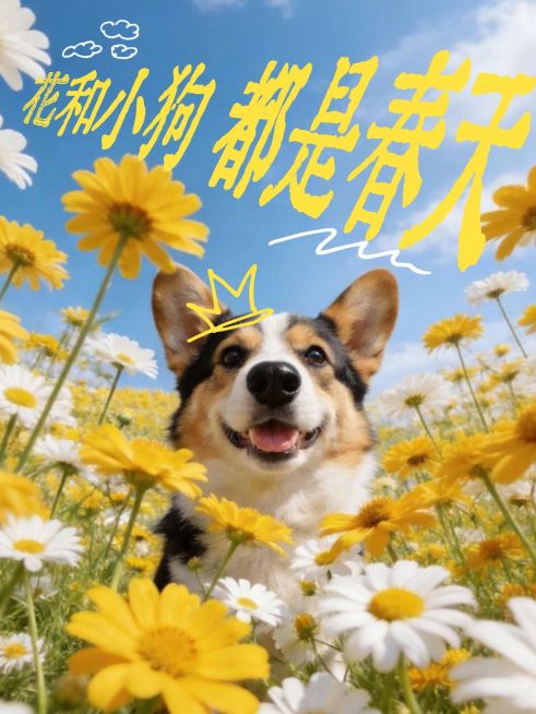 变形文字plog模板宠物预览效果